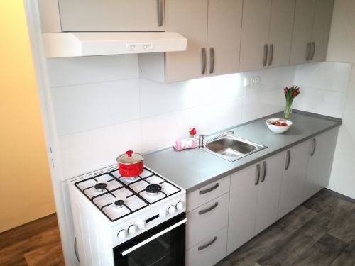 Podnájem bytu 2+1 55 m2, ul. Mitušova 1423/77, Ostrava - Hrabůvka