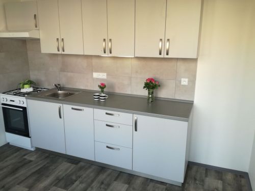 Podnájem bytu 2+1 58 m2, ul. Generála Píky 2903/20, Moravská Ostrava - Fifejdy