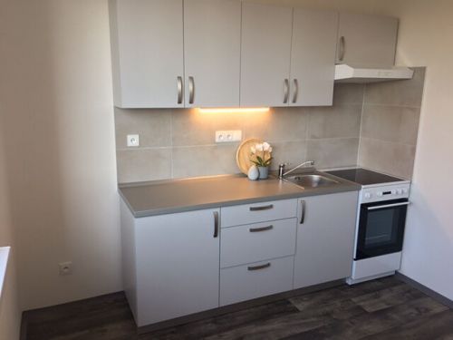 Podnájem bytu 1+1 38 m2, ul. Ahepjukova 2790/19, Moravská Ostrava