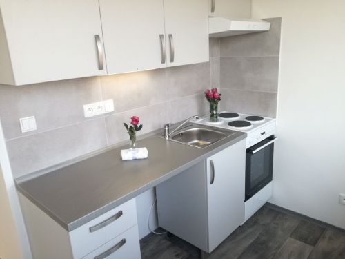 Podnájem bytu 1+1 31 m2, ul. 29. dubna 252/19, Ostrava - Výškovice
